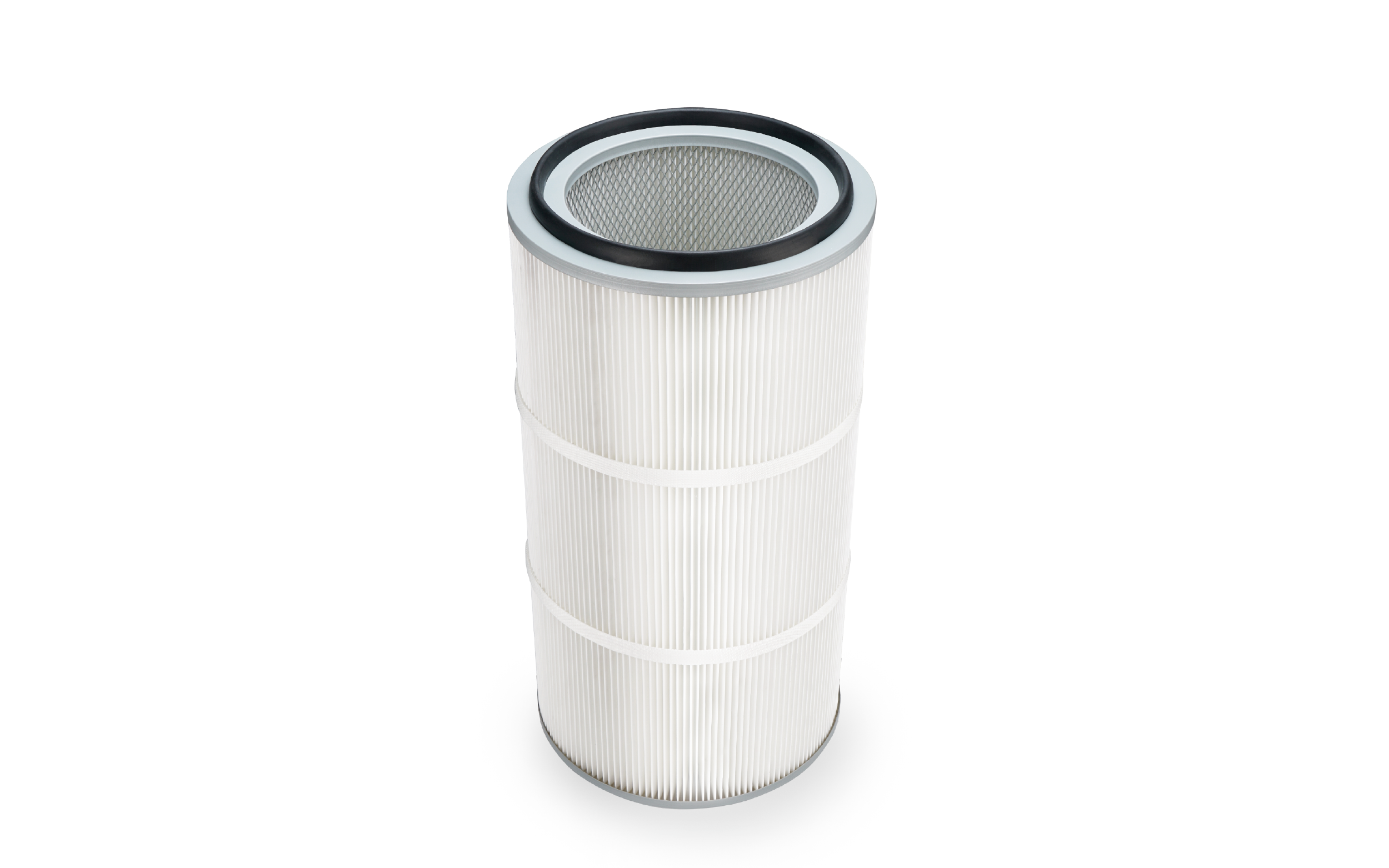Polyester with PTFE Membrane Filter Cartridge